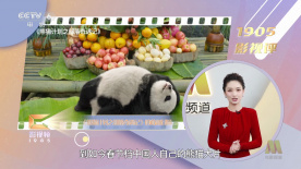 居家的妻子